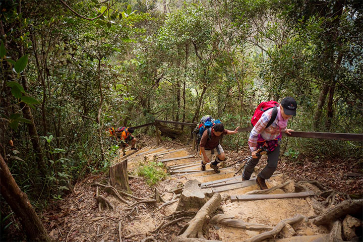 Mount Kinabalu Trail