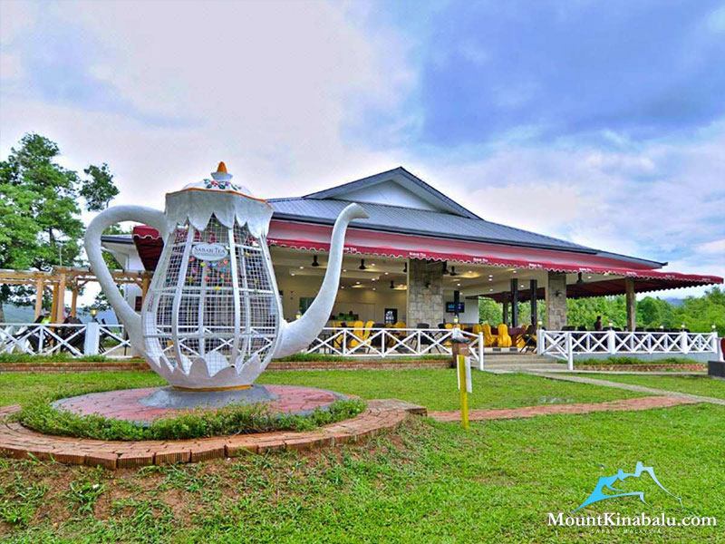 2D1N Kinabalu Park & Poring Hot Spring & Sabah Tea Garden Tour