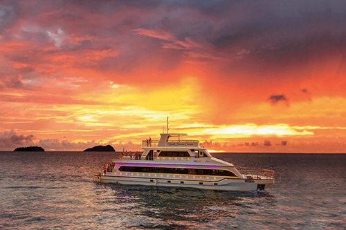 North Borneo Cruises (Sunset Dinner Cruise)