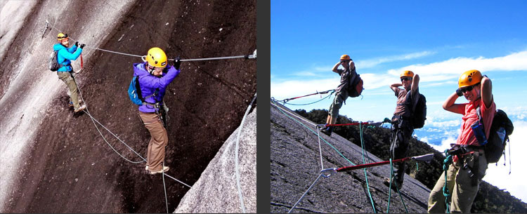 Walk The Torq Ferrata Kinabalu Climbing