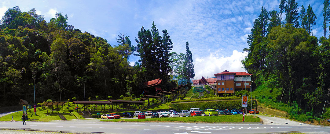 background information of kinabalu park