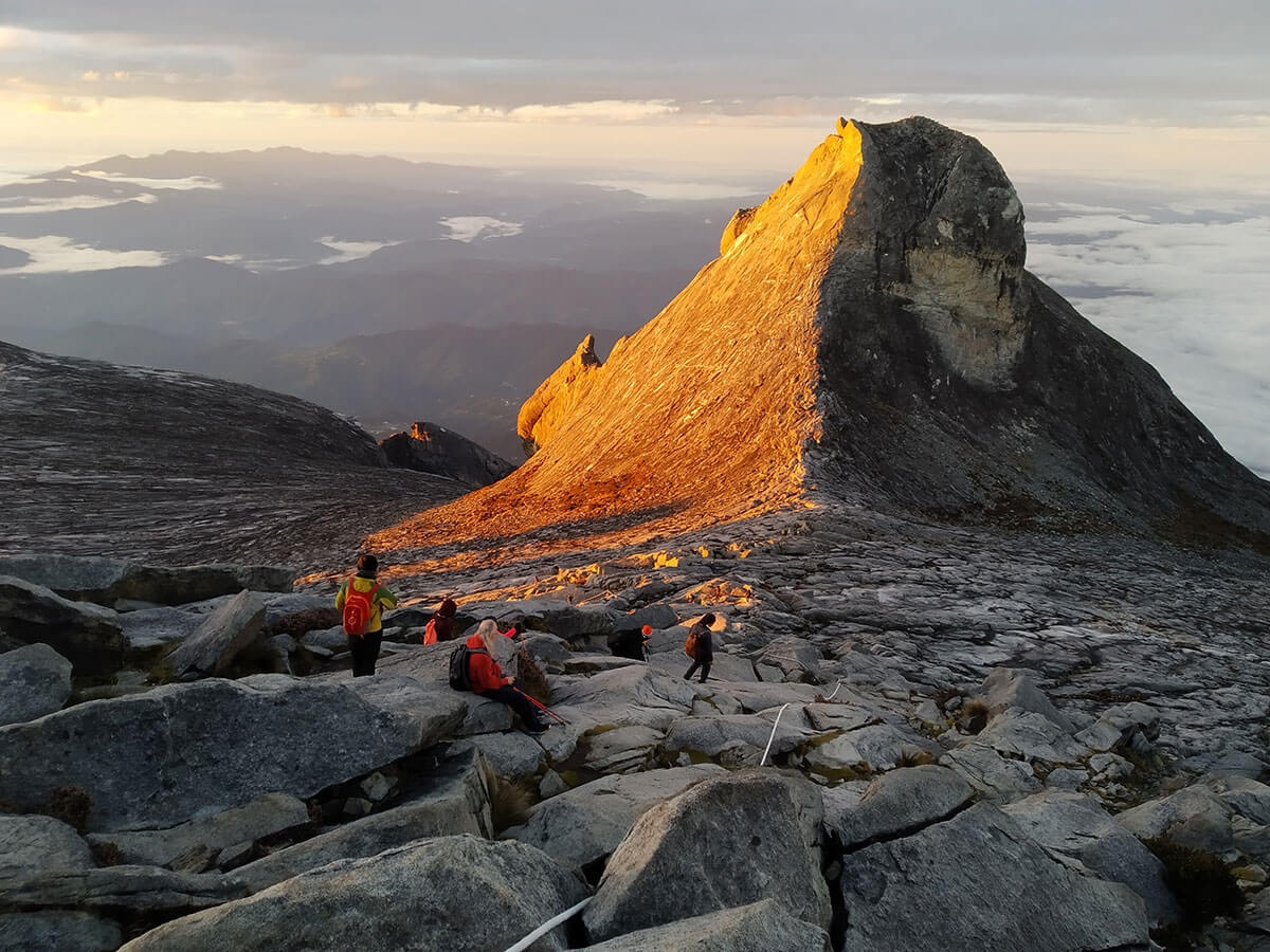 mount kinabalu day tour