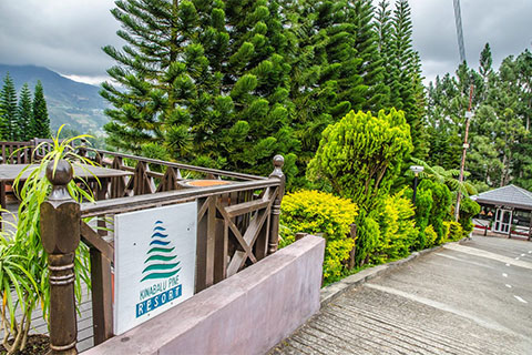 Kinabalu Pine Resort